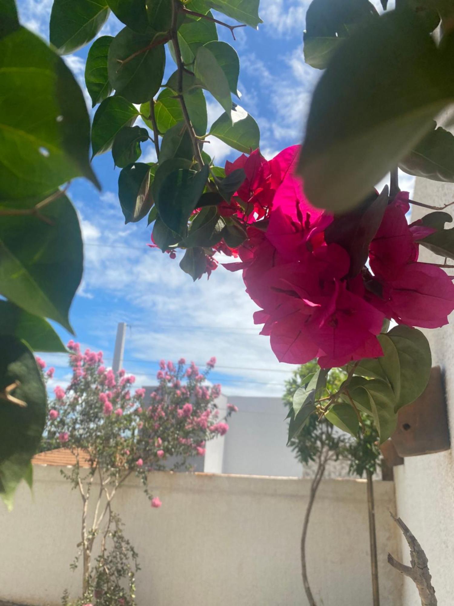 Queiroz Palace Hotel Siqueira Campos Dış mekan fotoğraf