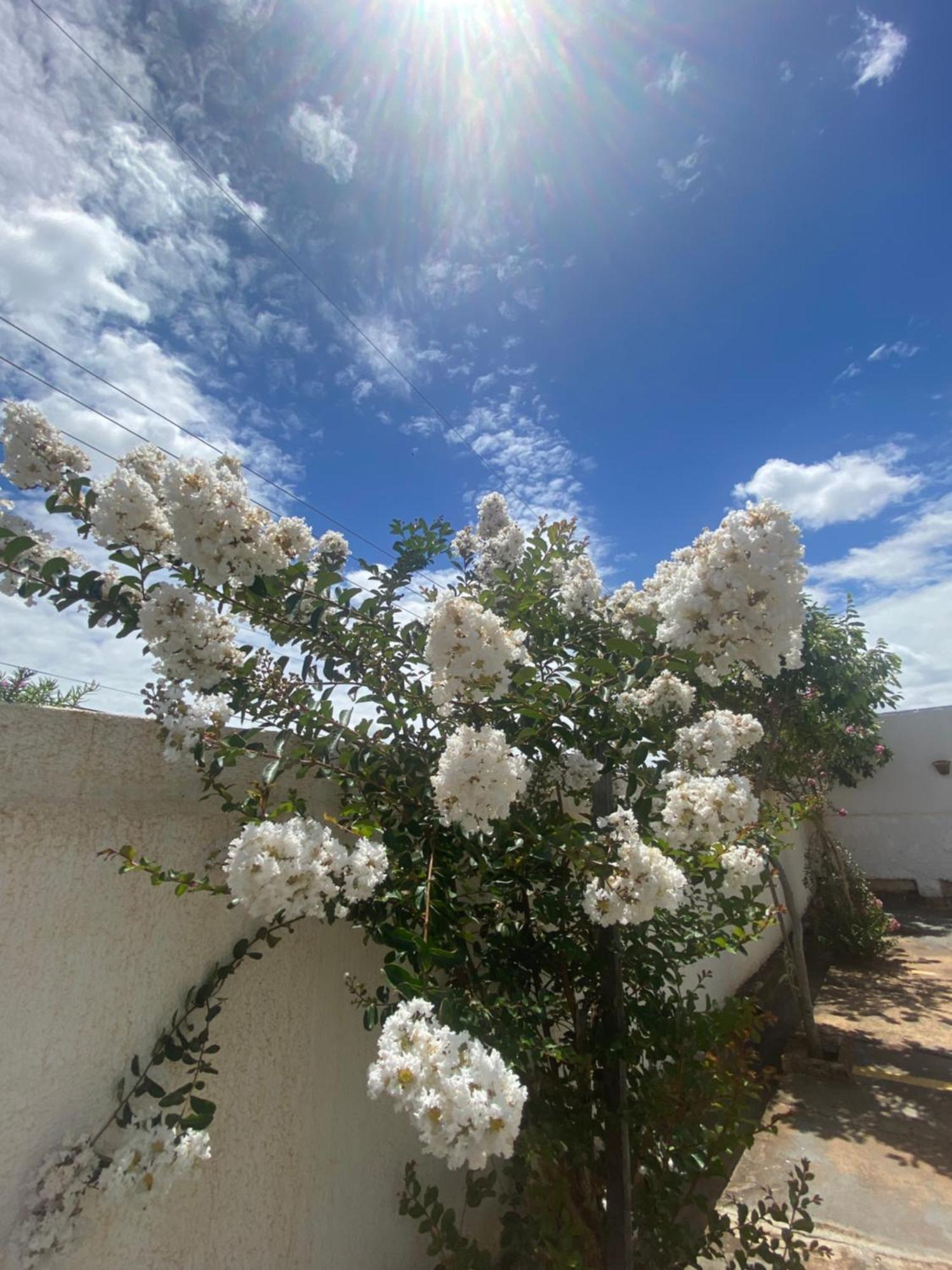 Queiroz Palace Hotel Siqueira Campos Dış mekan fotoğraf
